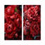 Crimson Peony Elegance - Ensemble de 2 reproductions d'art sur toile-786236305-786236308