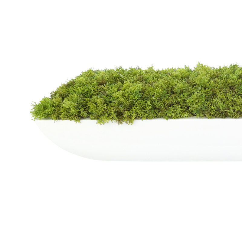 Moss 6" Artificial in Fiberstone Planter, 7"H x 25"W x 9.5"D, White