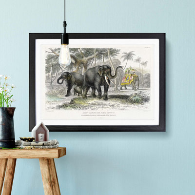 Asian Elephants by Oliver Goldsmith - Single Picture Frame Painting