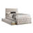 Fabric Fully Upholstered Twin Bed With Trundle-1470934489