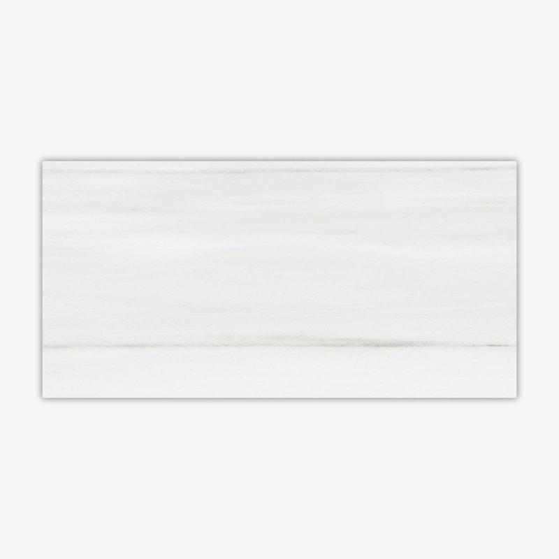 24" x 24" Porcelain Wall & Floor Tile