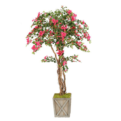 Bougainvillea 84'' Faux Bougainvillea Tree in Solid Wood Planter