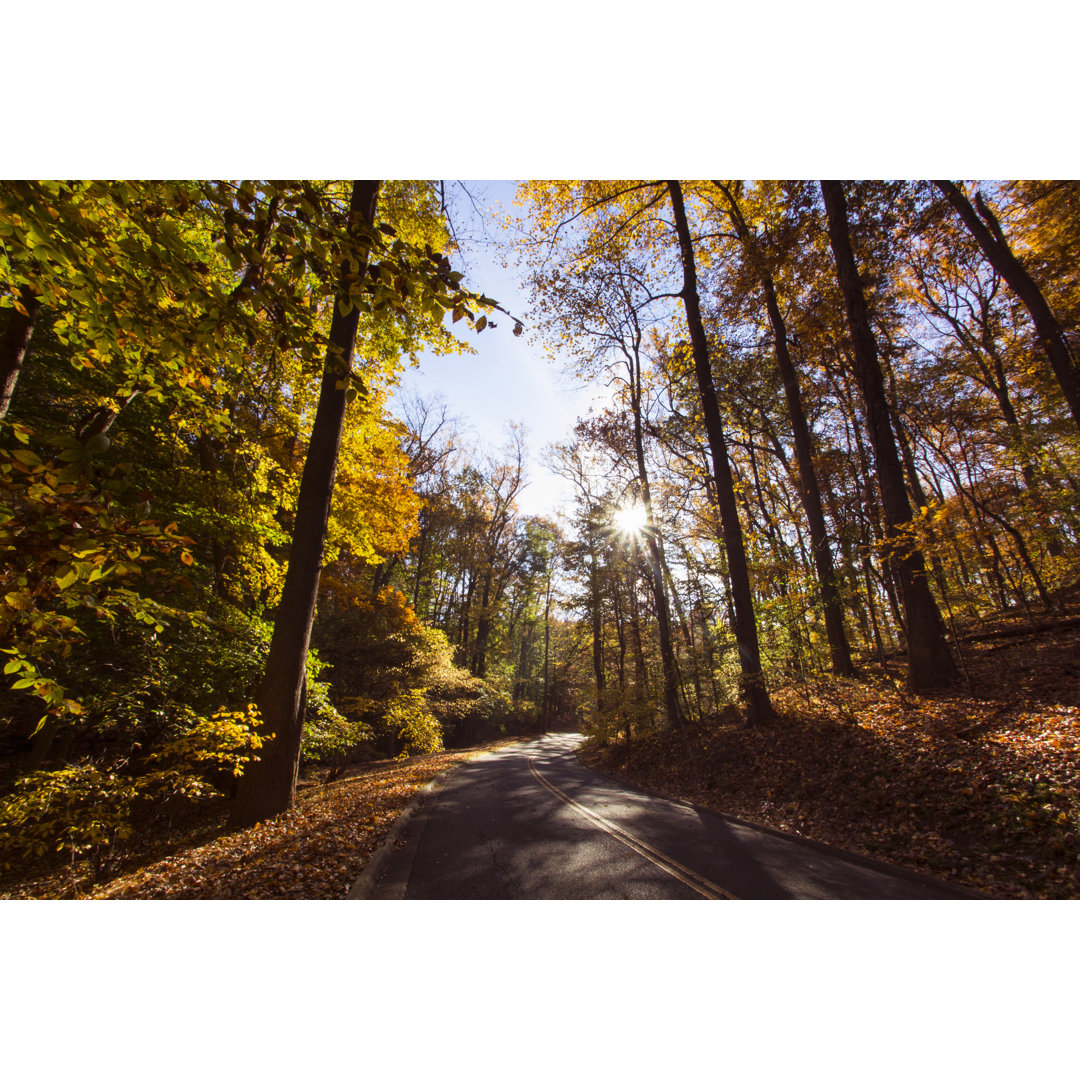 Landstraße im Herbst von WLDavies - Drucken