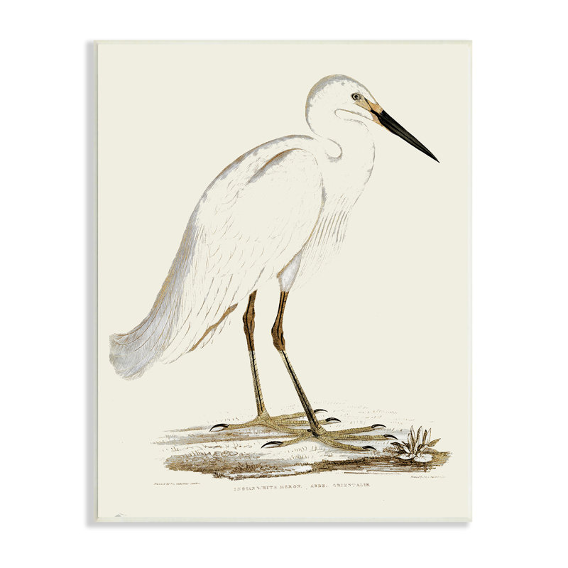 Illustration rétro d'une aigrette dans un marais, H 19 po x l 13 po, Plaque murale