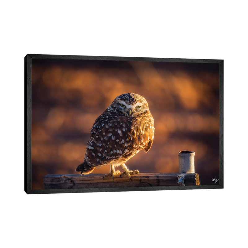 Burrowing Guardian by Peter Coskun - Floater Frame Gallery-Wrapped Canvas Giclée on Canvas, Black Framed Canvas