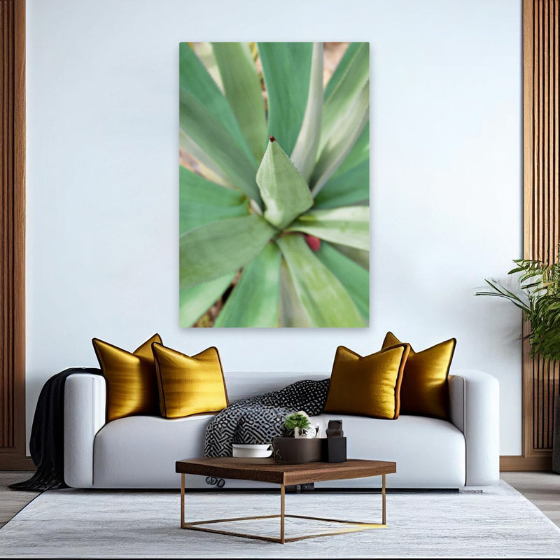 Agave succulent # 2 - art floral et nature morte, feuilles, art, H 60 po x l 40 po