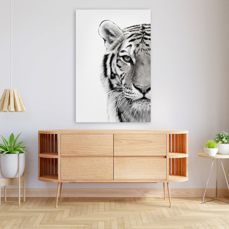 Tigre blanc - photographie, animaux, chats, tigres, art, H 48 po x l 32 po