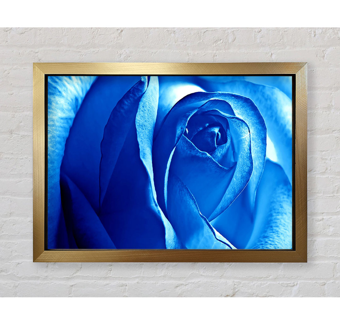 Leinwandbild Blaue Rose - Blumen