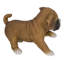 Statue de jeu boxer chiot
