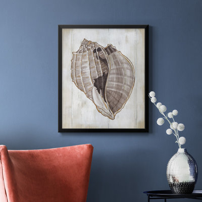Ocean Cone II Premium Framed Canvas - Ready to Hang