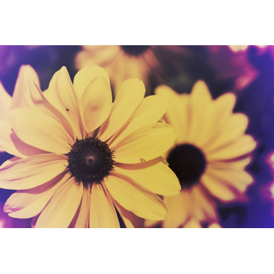 Susans III