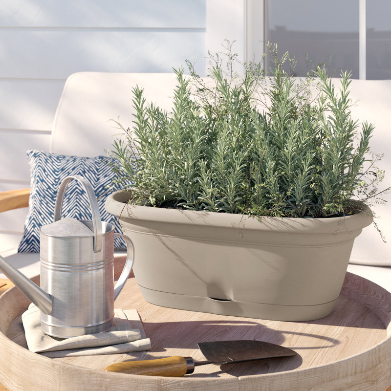 Lucca Self-Watering Plastic Indoor/Outdoor Oval Window Box Planter with Watering Basin, Pebble Stone