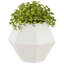  Planter Steel-1974654421-1974654431
