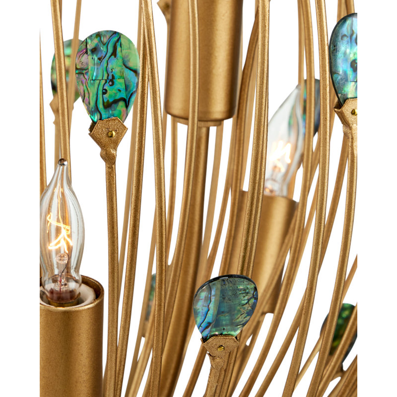 Delphos 6 - Light Chandelier