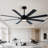 65 in. 8-Blade Black / Walnut Brown Ceiling Fan with LED Light, Remote and APP Control, Two-Toned Blade, DC Motor-2113863202