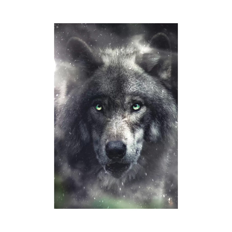 The Hungry Wolf 1 Piece Wall Art on Canvas, 30.48 cm H x 45.72 cm W, Wrapped Canvas