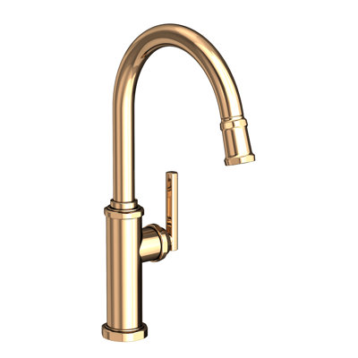 Heaney Single Handle Pull Down Kitchen Faucet