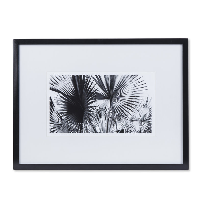 Black And White Palm Leaves A Print