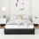 Bret Platform Storage Bed with 3 Drawers – No Box Spring, Easy Assembly