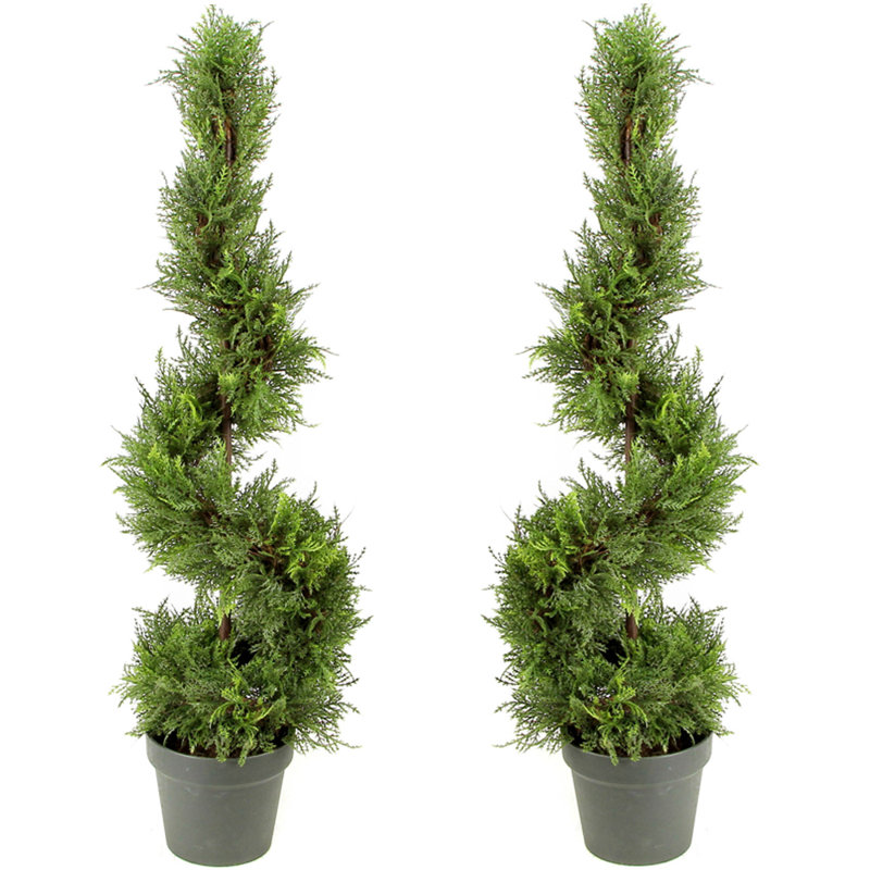 Topiaire cypress leave spirale dans un panier