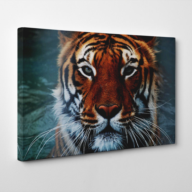 Photographic - Wrapped Canvas, 40cm H x 60cm W
