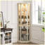 Vitrine de coin moderne pour le salon-1913834210