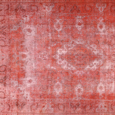 Oriental Indoor Rug