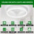 Ceiling Fan With Lights And Remote, 13" Fandelier Low Profile Ceiling Fan, 3000K-6000K Dimmable Modern Flush Mount LED Ceiling Fan Light For Bedroom-2103862746