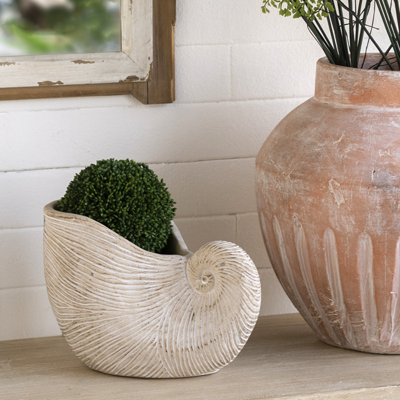 Boîte à fleurs sable et ciment Nautilus, H 6,3 po x l 8,5 po x P 5,5 po