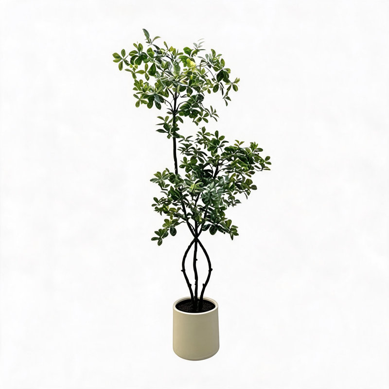 Arbre artificiel Polyscias de 180 cm – Plante décorative en PVC résistant aux UV, avec un feuillage artificiel réaliste et des feuilles vertes authentiques, idéale pour la maison, le bureau et le jardin d'intérieur.