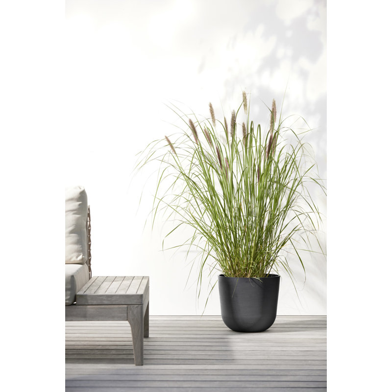 Ecopots Oslo Indoor/Outdoor Modern Recycled Plastic Flower Pot Planter, Gray, 4" H x 4.5" W x 4.5 " D