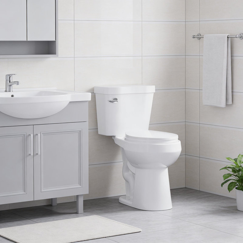 Toilettes 21 po deux pièces avec siège à fermeture en douceur pour salle de bain