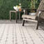 Tapis intérieur / extérieur gris / ivoire à rayures Edgington-971465143