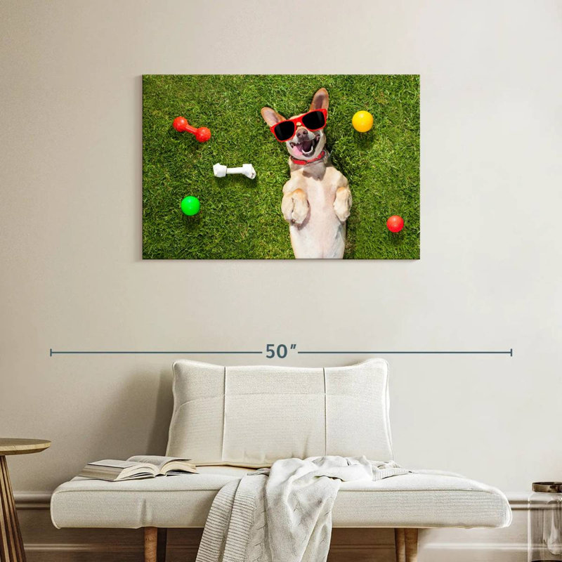 Ketti terrier chihuahua amusant, H 24 po x l 36 po