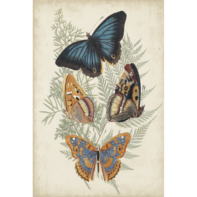 Papillons et fougères V, H 36 po x l 24 po x P 1,25 po