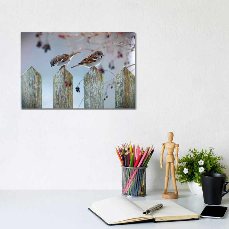 House Sparrows by Mateusz Piesiak - Wrapped Canvas Print, 20.32 cm H x 30.48 cm W