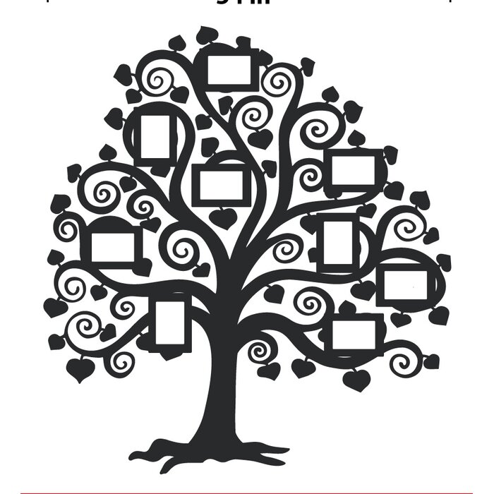 The Decal Guru Family Tree Non-Wall Damaging Wall Decal & Reviews | Wayfair