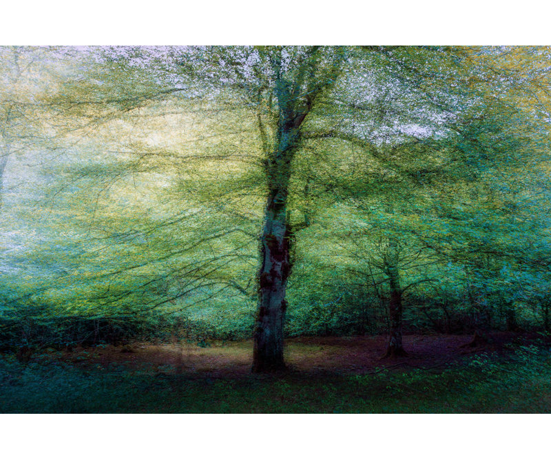 Wrapped Canvas Print, 50.8cm H x 76.2cm W