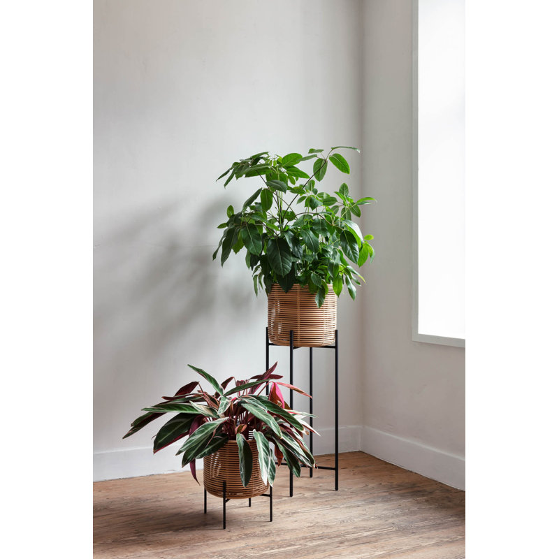 Vivi Plant Stand