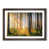 Walnut Framed selected