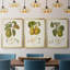 " Vintage Pears IV " 3 - Pieces-69982183-69982188