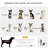 Foldable Pet Stroller