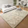 Niria Area Rug