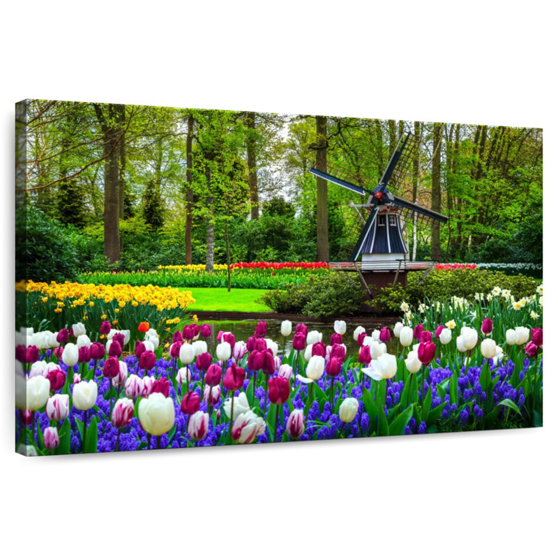 Lilie superbe moulin à vent hollandais