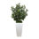 Olive Tree Artificial in Fiberstone Planter