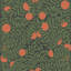 Signature Orange Grove 10' L x 24" W Wallpaper Roll-1282972382-1276071438-1319321604