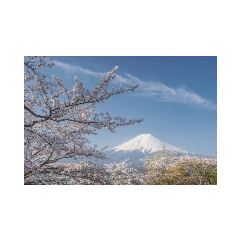 Spring In Japan XXV by Daniel Kordan - Wrapped Canvas Print, 45.72cm H x 45.72cm W x 1.905cm D