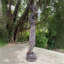 71 po Grande statue portant un pot de fleurs - Keira-1913231428