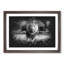 Lion Vol.5 - Picture Frame Graphic Art-62802652-62802655