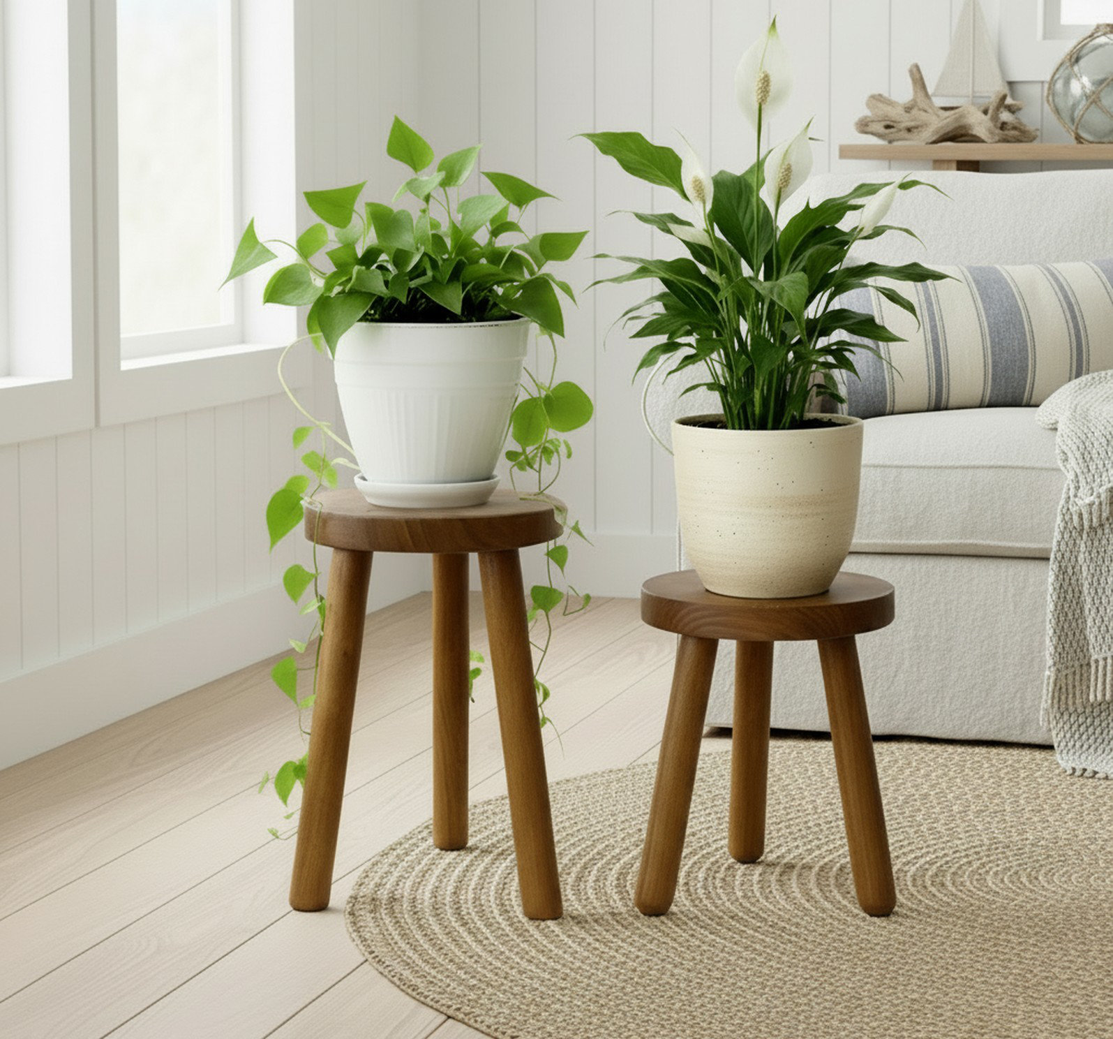 George Oliver Teak Wood Plant Stand Set Of 2 & Reviews | Wayfair